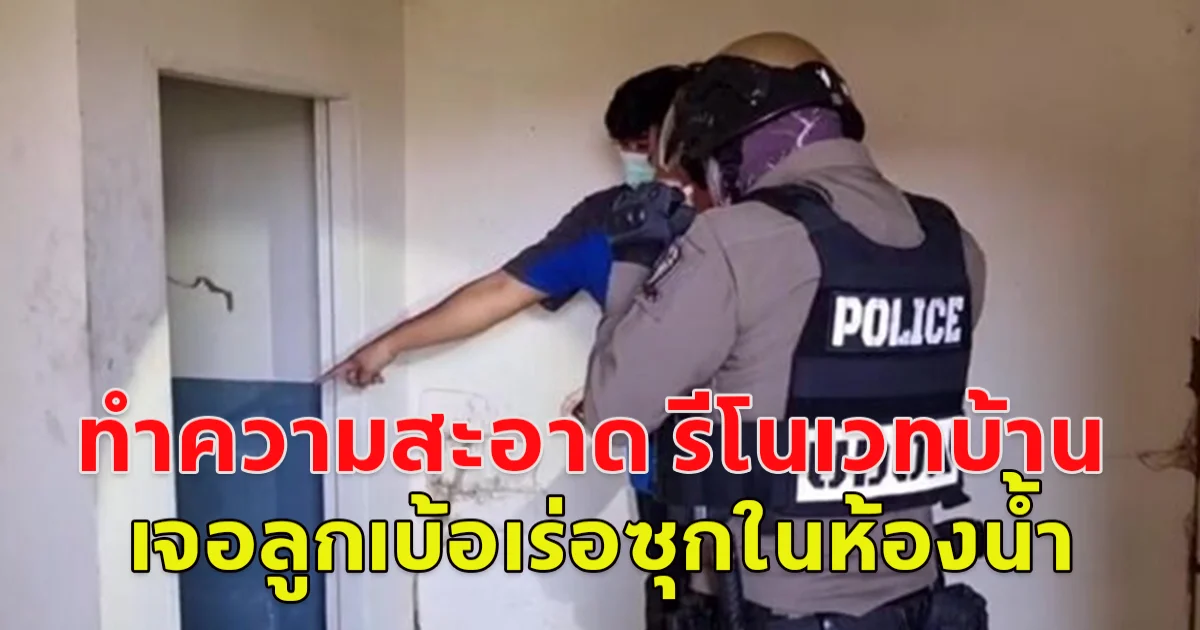 พนักงานบริษัท ทำความสะอาด รีโนเวทบ้าน