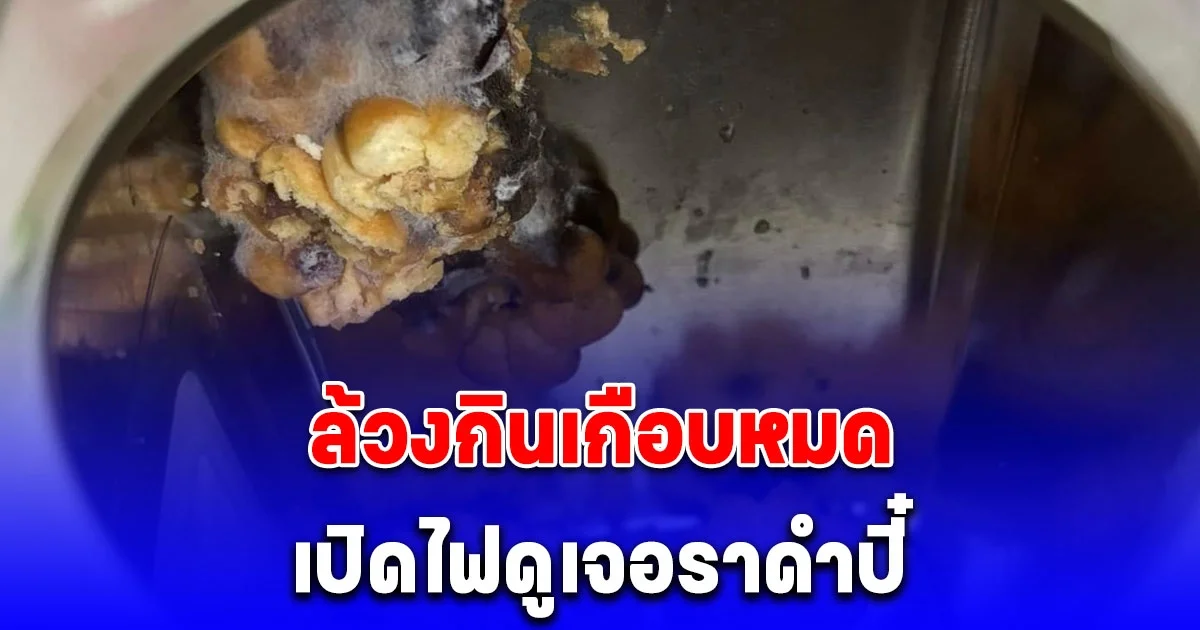 สาวกำลังล้วงกินขนมปังปี๊บอร่อยๆ รู้สึกเปียกๆเปิดไฟดูตกใจ ราดำปี๋