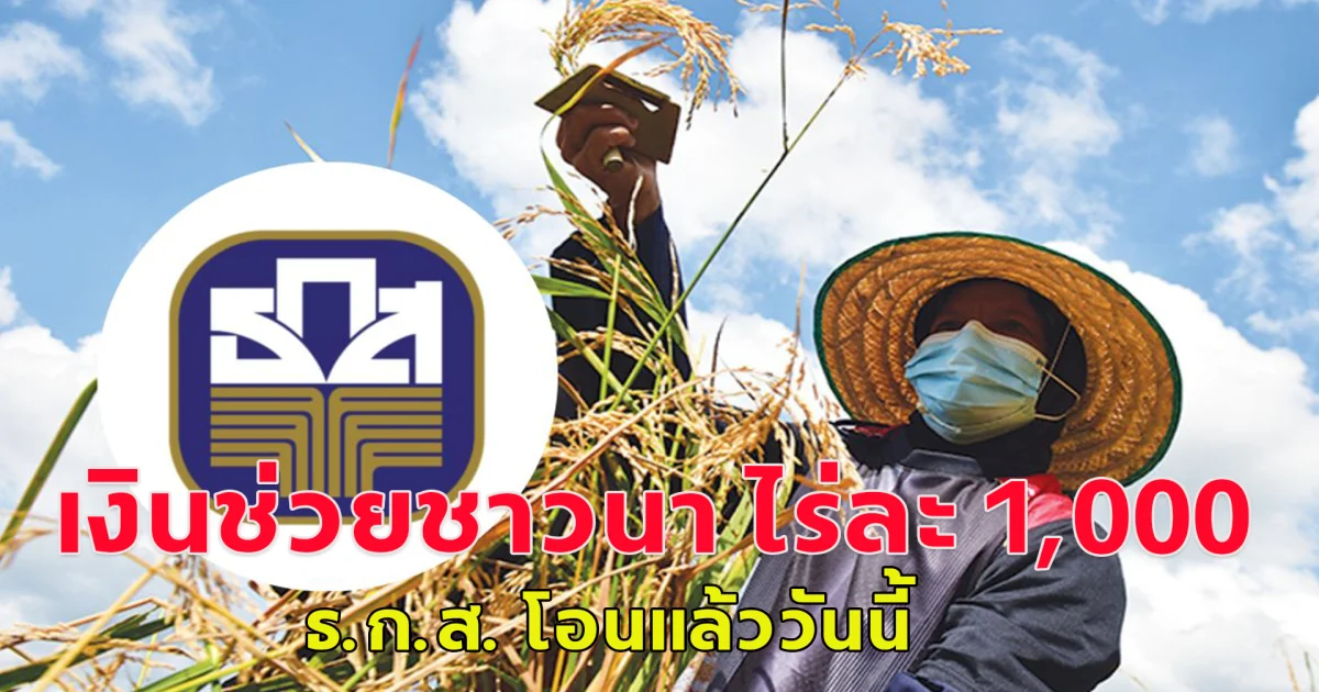 เงินช่วยชาวนา ไร่ละ 1,000  ธ.ก.ส. โอนแล้ววันนี้ เช็กเลย