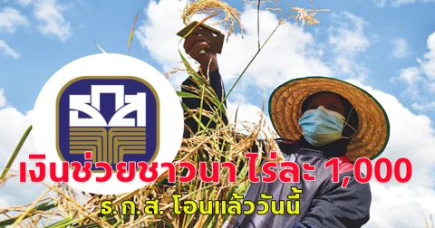 เงินช่วยชาวนา ไร่ละ 1,000  ธ.ก.ส. โอนแล้ววันนี้ เช็กเลย