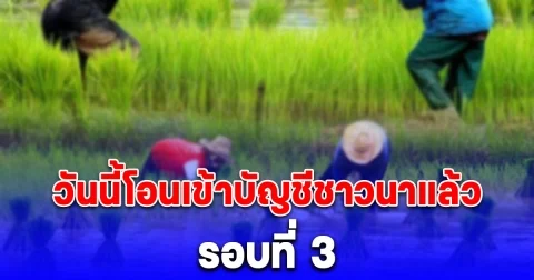เปิดรายชื่อจังหวัด ธ.ก.ส. โอนเงินช่วยเหลือชาวนาสูงสุด 10,000 บาท เข้าบัญชีแล้ววันนี้