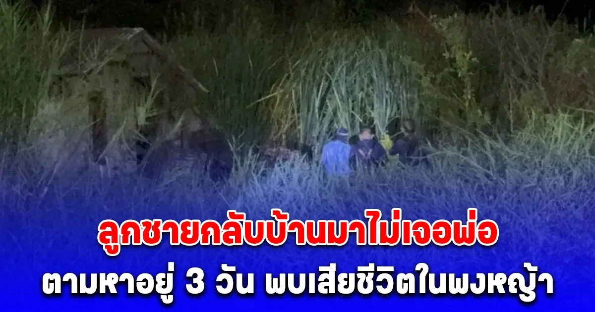 หนุ่มไปเที่ยว ภูทับเบิก กลับมาบ้านไม่เจอพ่อ ตามหาอยู่ 3 วัน พบร่างพ่อนอนเสียชีวิตในพงหญ้า