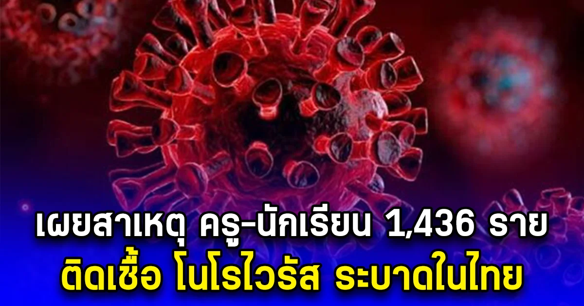 รู้แล้วติดจากอาหารที่กินเข้าไป ครู-นักเรียน 1,436 ราย ติดเชื้อ โนโรไวรัส ระบาดในไทย