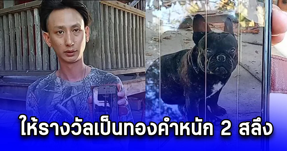 หนุ่มทุกข์ใจ ประกาศตามหาปีเตอร์ หากใครเจอนำส่งคืน ให้รางวัลเป็นทองคำหนัก 2 สลึง หลังเป็นห่วงต้มไก่ให้อาหารเม็ด รอปีเตอร์ทุกวันพร้อมลูกๆอีก 3 ตัว ชะเง้อรอพ่ออยู่