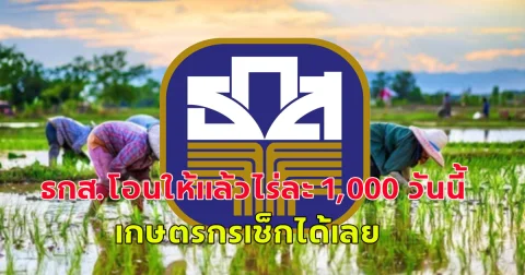 ธกส.โอนให้แล้วไร่ละ 1,000 วันนี้