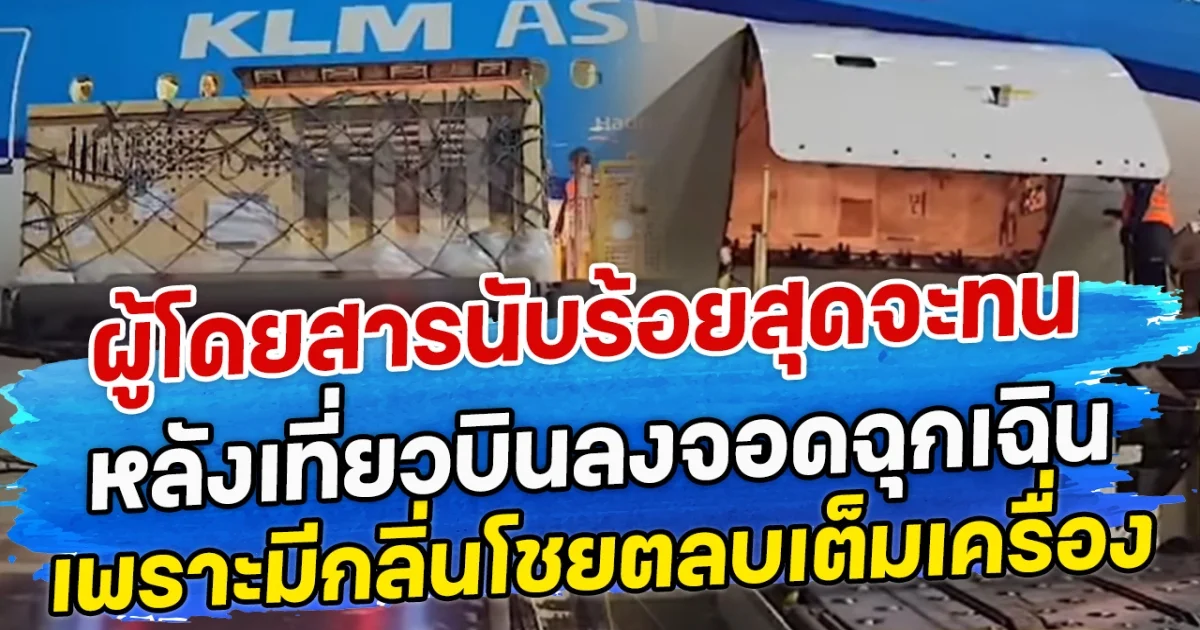 ผู้โดยสารนับร้อยสุดจะทน หลังเที่ยวบินลงจอดฉุกเฉิน เพราะมีกลิ่นโชยตลบเต็มเครื่อง