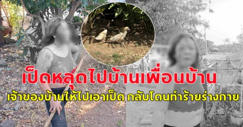 สาวโพสต์ เป็ดที่เลี้ยงไว้ หลุดเข้าไปบ้านเพื่อนบ้าน เจ้าของบอกให้ไปเอาเป็ดออกมา แต่กลับโดนทำร้ายร่างกาย แถมโดนแจ้งความบุกรุก