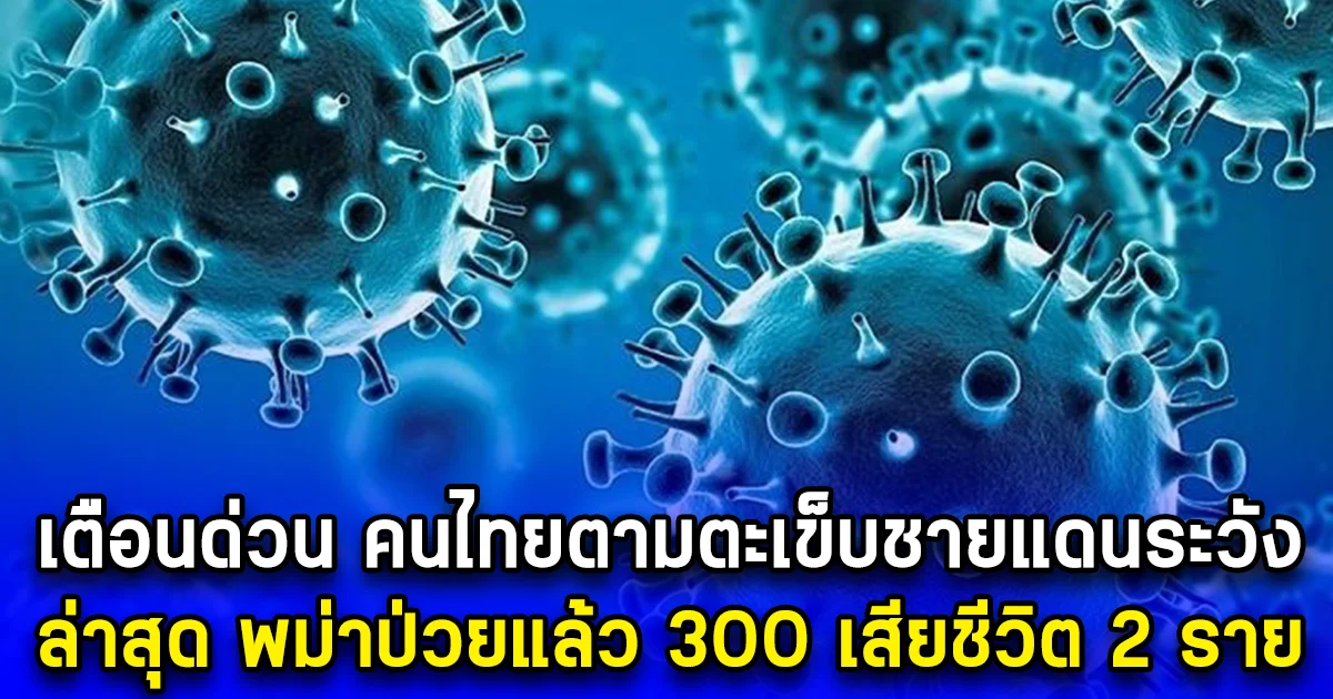 เตือนด่วน คนไทยตามตะเข็บชายแดนระวัง ล่าสุด พม่าป่วยแล้ว 300 เสียชีวิต 2 ราย