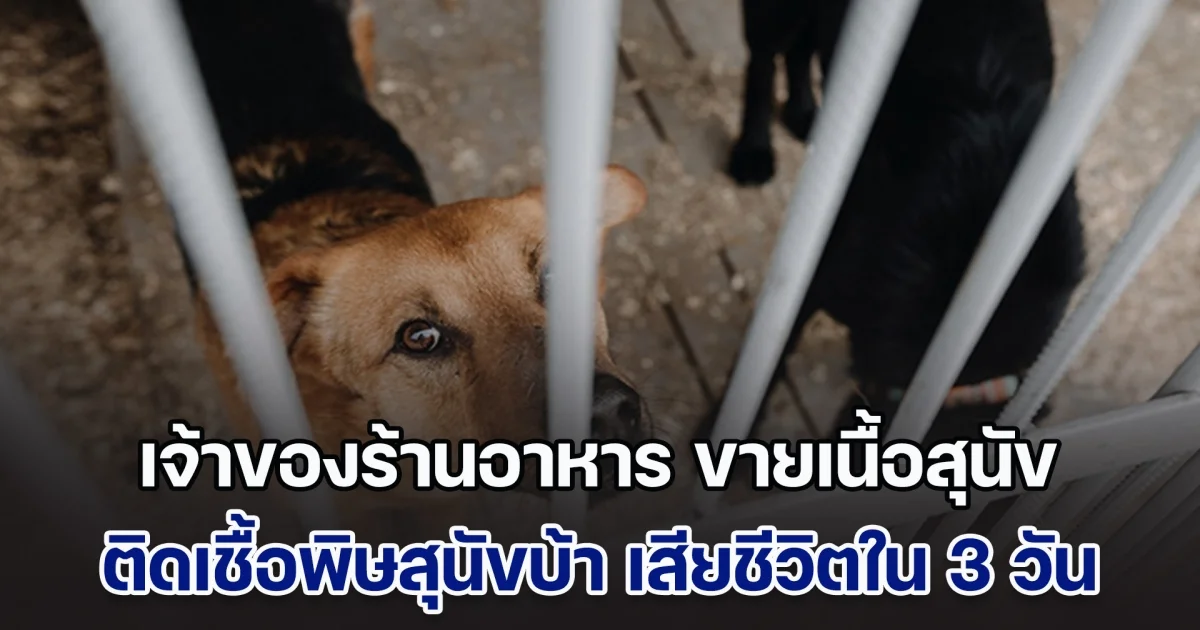เจ้าของร้านอาหาร ขายเนื้อสุนัข ติดเชื้อพิษสุนัขบ้า เสียชีวิตภายใน 3 วัน จนท.เตือนหากถูกกัดหรือข่วน ต้องระวัง