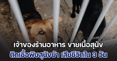 เจ้าของร้านอาหาร ขายเนื้อสุนัข ติดเชื้อพิษสุนัขบ้า เสียชีวิตภายใน 3 วัน จนท.เตือนหากถูกกัดหรือข่วน ต้องระวัง