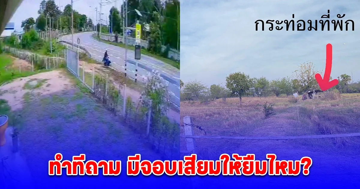 2 ยายตกเป็นเหยื่อโจรสวมหมวกไอ้โม่งปล้นสวาทกลางวันแสกๆ กลางทุ่งนา