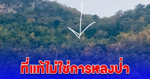 ปลอดภัยแล้ว กลุ่มอาจารย์-นักศึกษา ม.มหิดล เผยความจริงไม่ใช่การหลงป่า