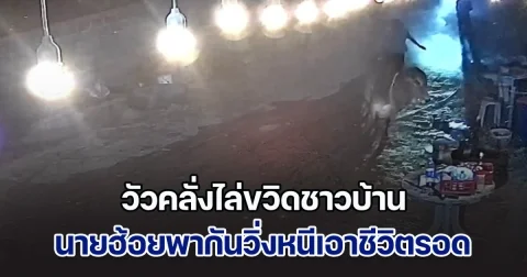 วัวคลั่งไล่ขวิดชาวบ้าน นายฮ้อยพากันวิ่งหนีเอาชีวิตรอด