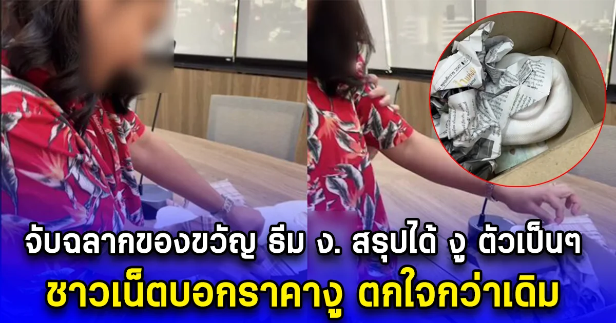 จับฉลากของขวัญ ธีม ง. สรุปได้ งู ตัวเป็นๆ ชาวเน็ตบอกราคางู ตกใจกว่าเดิม