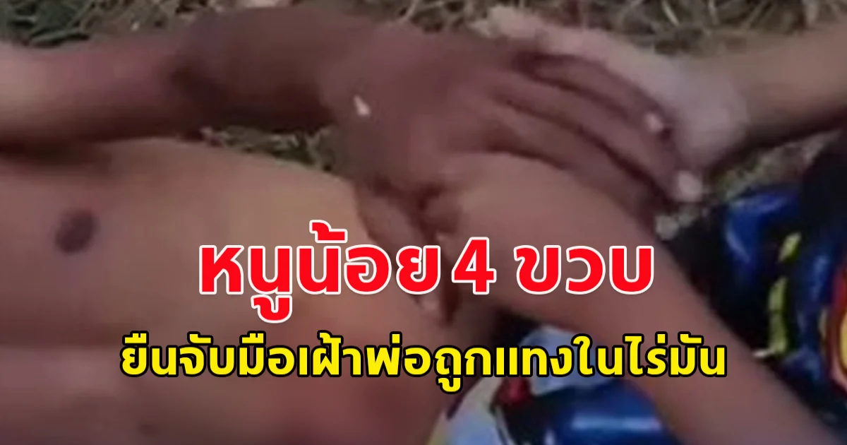 หนูน้อย 4 ขวบ ยืนจับมือเฝ้าพ่อถูกเมียทำร้ายในไร่มัน