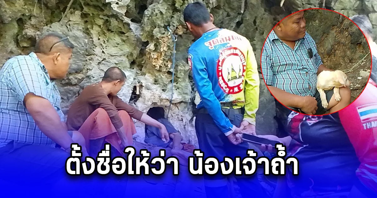 ลูกสุนัขติดถ้ำลึก 8 เมตรนาน 4 วัน พระ-กู้ภัย เข้าช่วยเหลือจนรอดชีวิต พร้อมตั้งชื่อให้ว่า น้องเจ้าถ้ำ