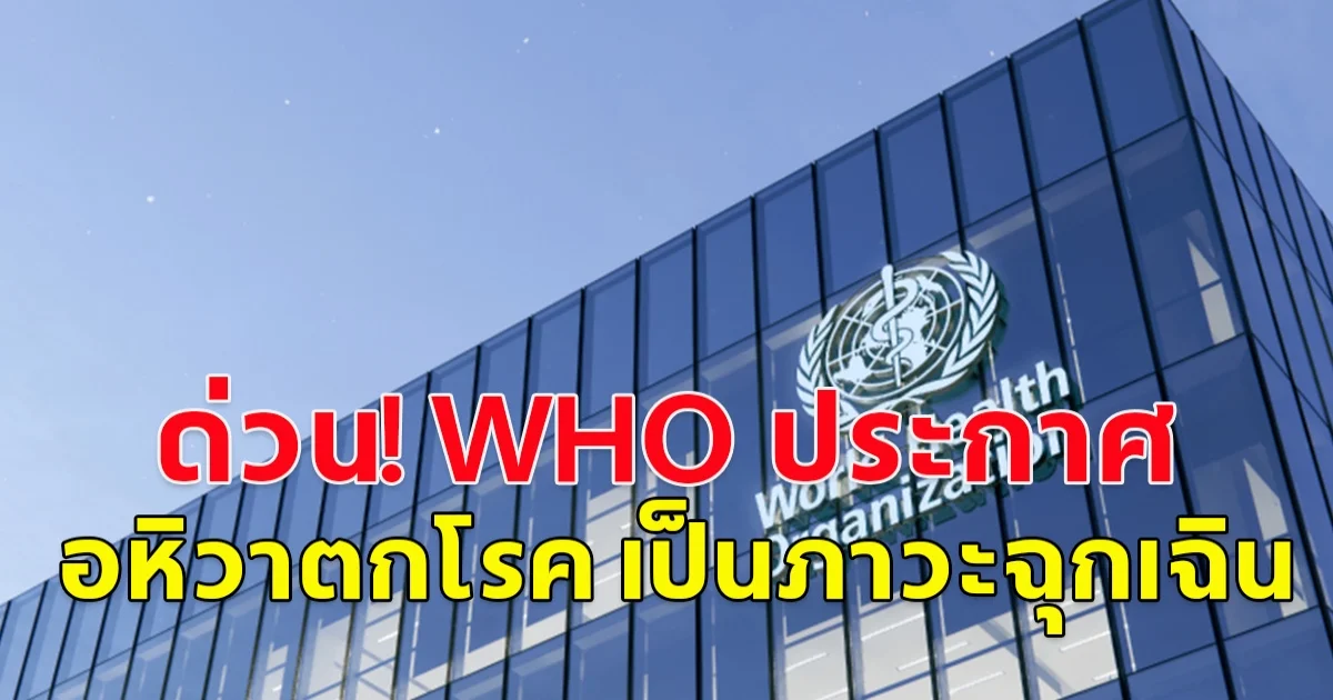 องค์การอนามัยโลก (WHO) ประกาศให้ “อหิวาตกโรค” เป็นภาวะฉุกเฉินครั้งใหญ่