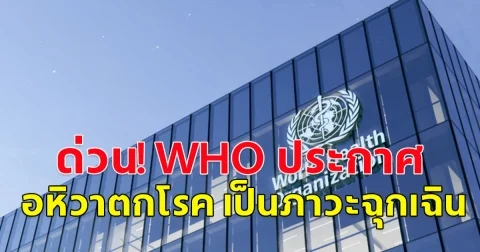 องค์การอนามัยโลก (WHO) ประกาศให้ “อหิวาตกโรค” เป็นภาวะฉุกเฉินครั้งใหญ่