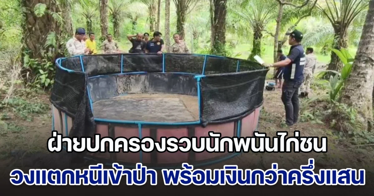 แตกกระเจิง! ฝ่ายปกครองรวบนักพนันไก่ชน วงแตกหนีเข้าป่า พร้อมเงินสดกว่าครึ่งแสน