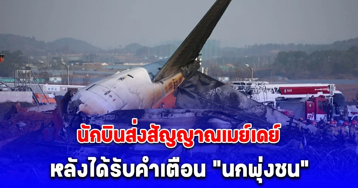 นักบินเจจูแอร์ ส่งสัญญาณเมย์เดย์ หลังได้รับคำเตือน นกพุ่งชน ก่อนเครื่องไถลรันเวย์ชนกำแพง