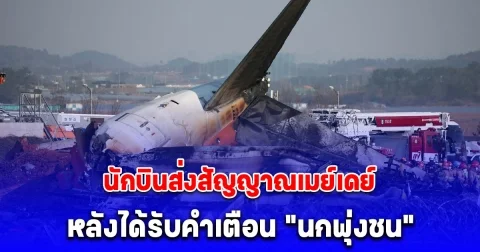 นักบินเจจูแอร์ ส่งสัญญาณเมย์เดย์ หลังได้รับคำเตือน นกพุ่งชน ก่อนเครื่องไถลรันเวย์ชนกำแพง