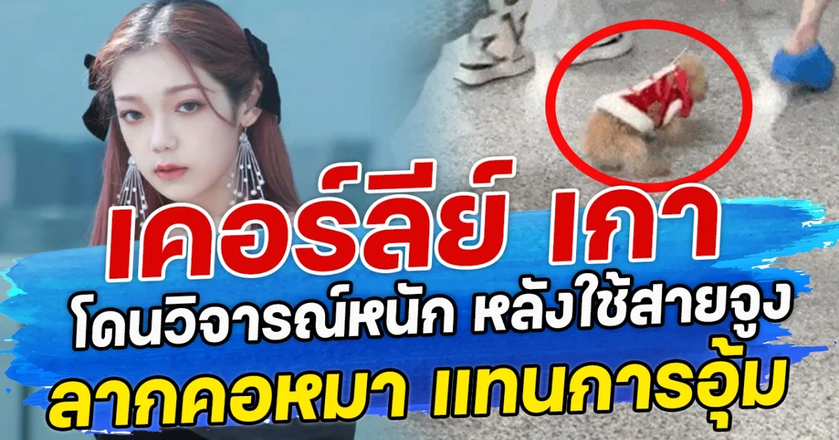 เคอร์ลีย์ เกา อดีตสมาชิก Bonbon Girls 303 โดนวิจารณ์หนัก หลังใช้สายจูง ลากคอหมา แทนการอุ้ม