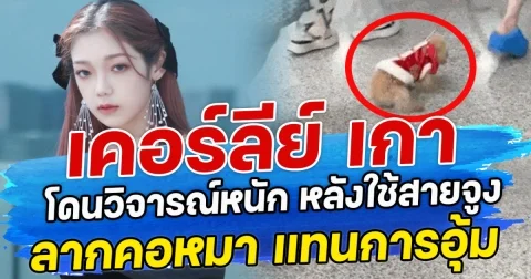 เคอร์ลีย์ เกา อดีตสมาชิก Bonbon Girls 303 โดนวิจารณ์หนัก หลังใช้สายจูง ลากคอหมา แทนการอุ้ม