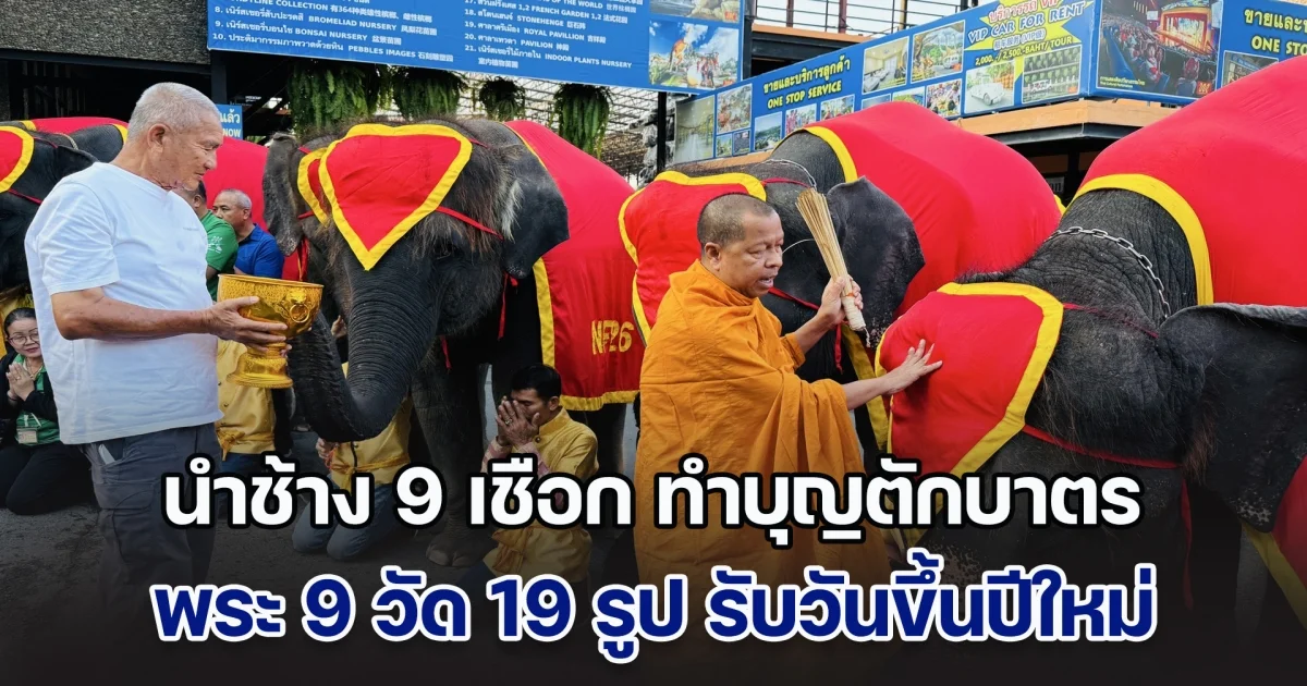 สวนนงนุชพัทยา นำช้าง 9 เชือก ทำบุญตักบาตร พระ 9 วัด 19 รูป รับวันขึ้นปีใหม่ เพื่อความเป็นสิริมงคล