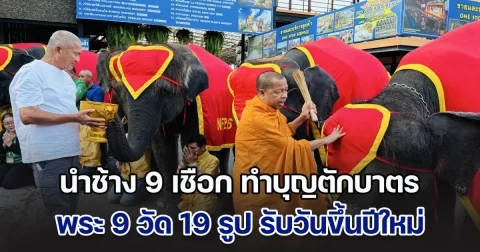 สวนนงนุชพัทยา นำช้าง 9 เชือก ทำบุญตักบาตร พระ 9 วัด 19 รูป รับวันขึ้นปีใหม่ เพื่อความเป็นสิริมงคล