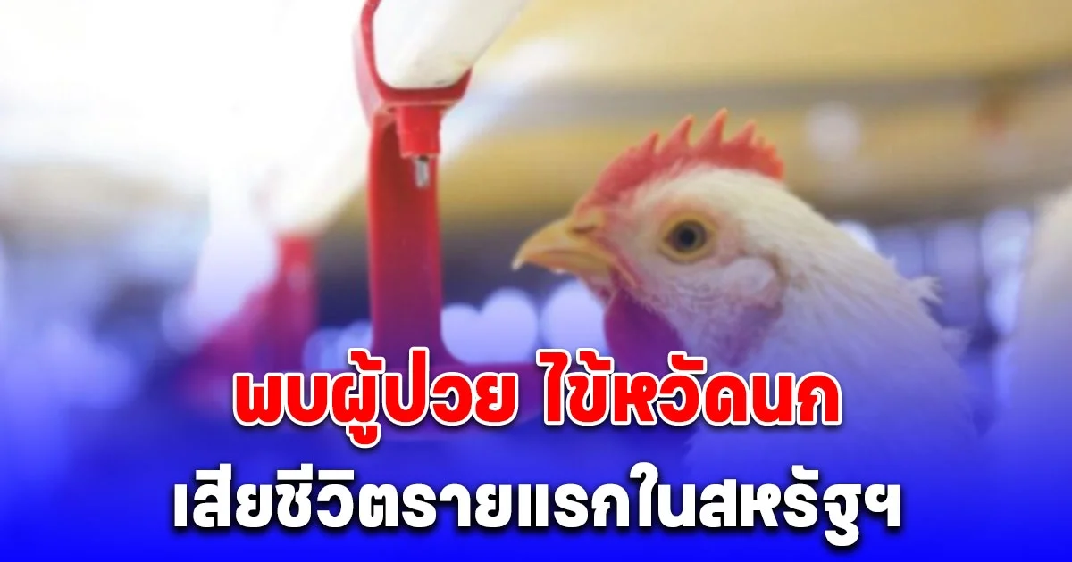 ด่วน พบผู้ป่วย ไข้หวัดนก เสียชีวิตรายแรกในสหรัฐฯ