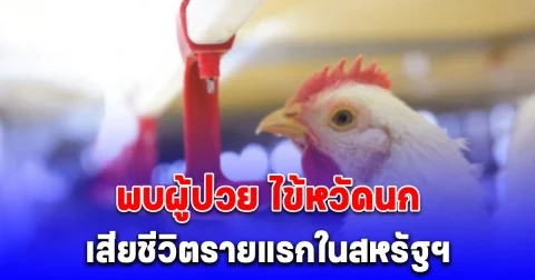 ด่วน พบผู้ป่วย ไข้หวัดนก เสียชีวิตรายแรกในสหรัฐฯ
