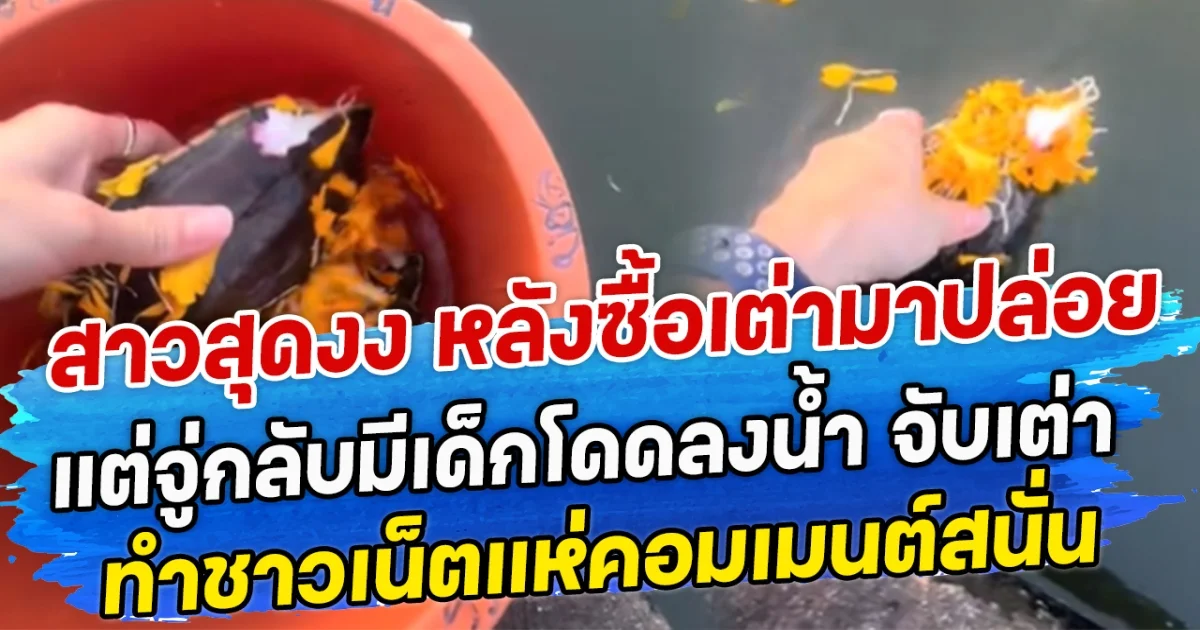 สาวสุดงง หลังซื้อเต่ามาปล่อยในคลอง แต่จู่กลับมีเด็กโดดลงน้ำ จับเต่า ทำชาวเน็ตแห่คอมเมนต์สนั่น