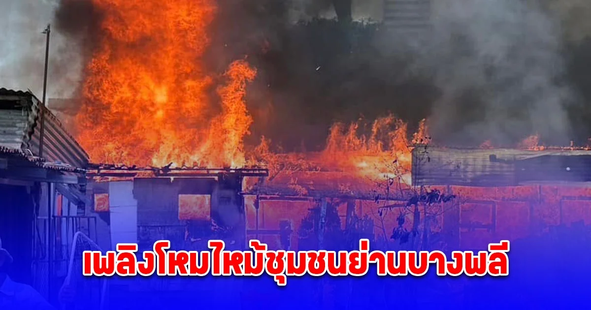 ระทึกเพลิงปริศนาโหมไหม้ชุมชนย่านบางพลี หญิงป่วยจิตเวชหนีไม่ทันถูกไฟคอกเสียชีวิต