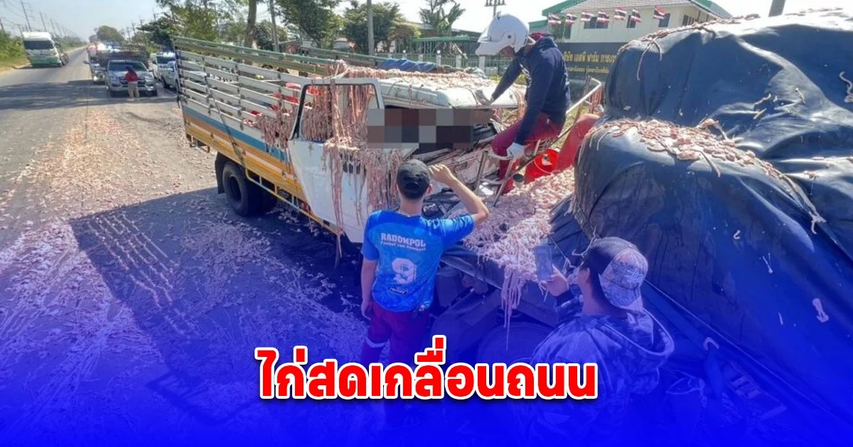รถส่งไก่พุ่งชนท้าย 6 ล้อ คนขับเสียชีวิต ชิ้นส่วนไก่สดกระจายเกลื่อนถนน