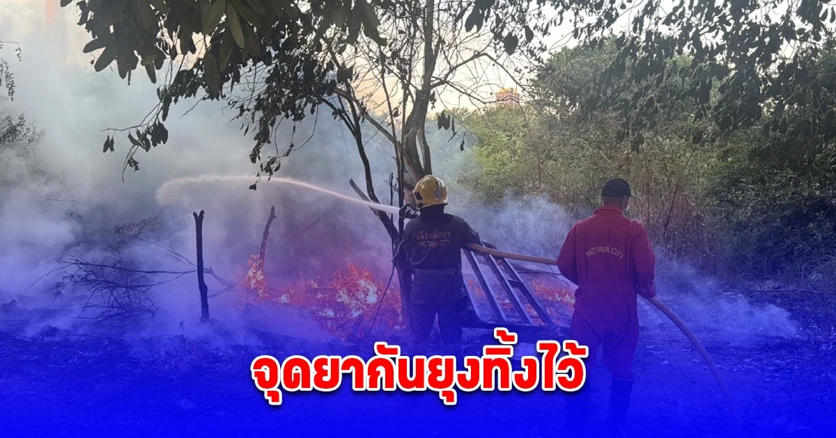 จุดยากันยุงทิ้งไว้ ไฟไหม้บ้านวอด