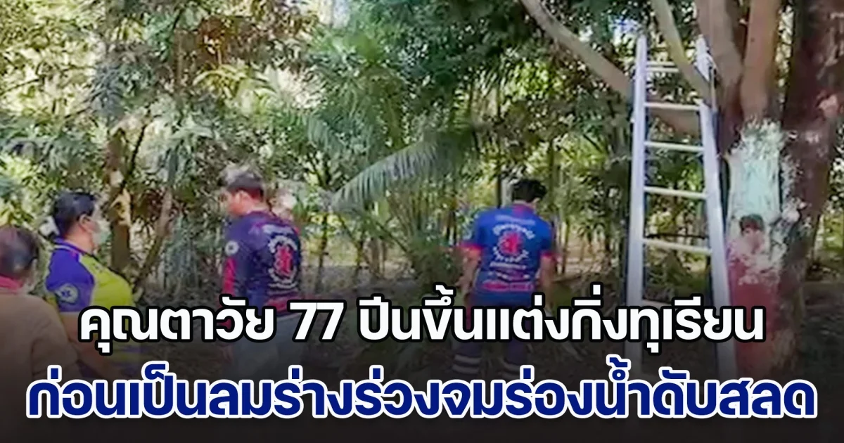 คุณตาวัย 77 ปีนขึ้นแต่งกิ่งทุเรียน ก่อนจะเป็นลมร่างร่วงจมร่องน้ำดับสลด