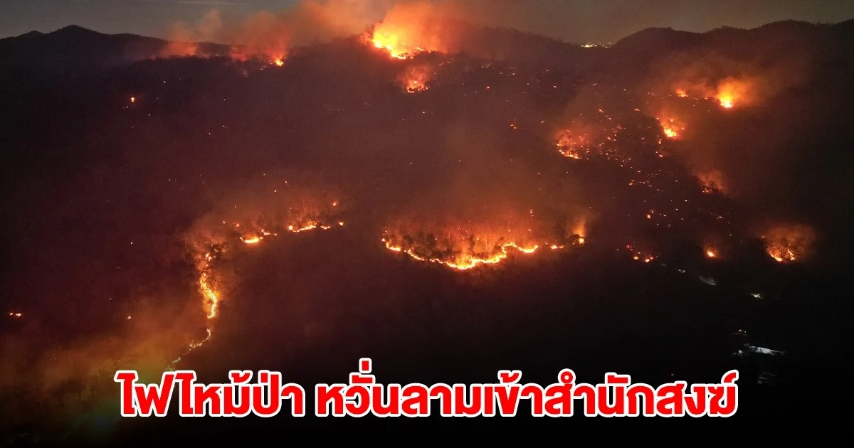 ไฟไหม้ป่าบางละมุง เจ้าหน้าที่เร่งสกัด หวั่นลามเข้าสำนักสงฆ์