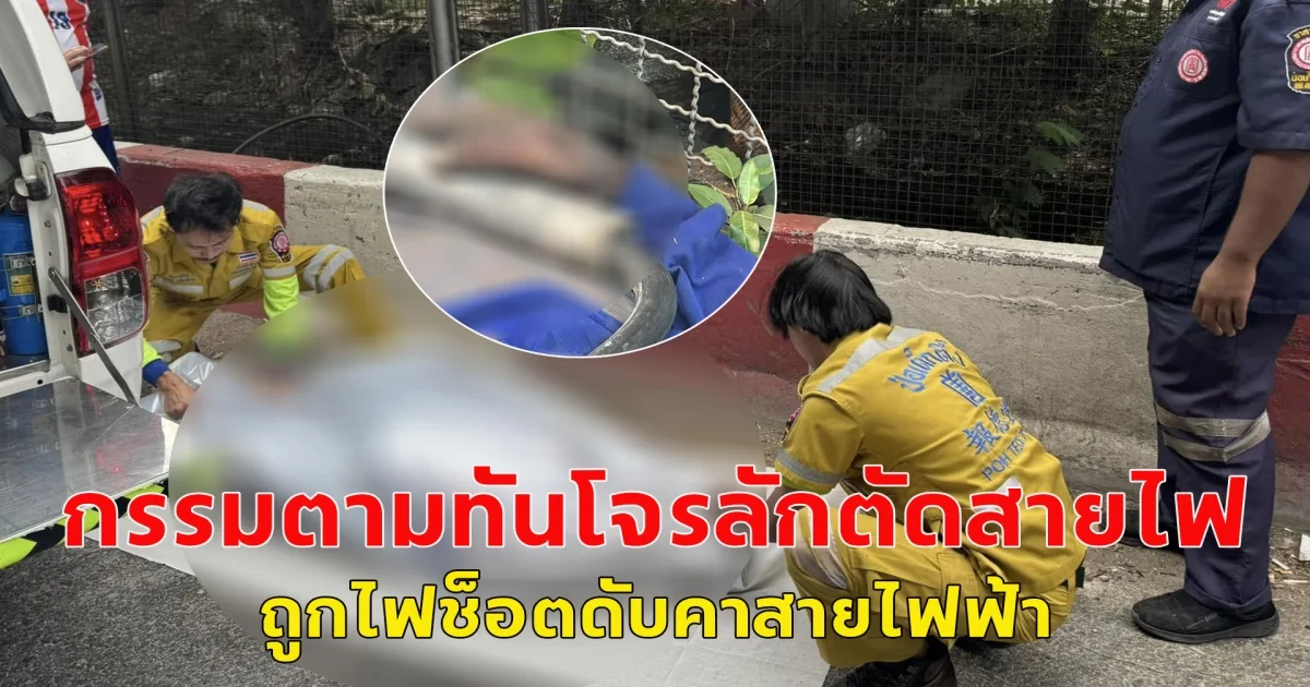 กรรมตามทันโจรลักตัดสายไฟฟ้าส่องสว่างถูกไฟช็อตดับคาสายไฟฟ้า