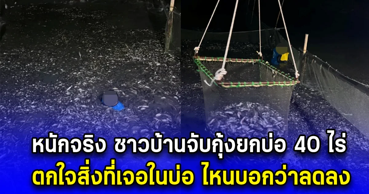 หนักจริง ชาวบ้านจับกุ้งยกบ่อ 40 ไร่ ตกใจสิ่งที่เจอในบ่อ ไหนบอกว่าลดลง