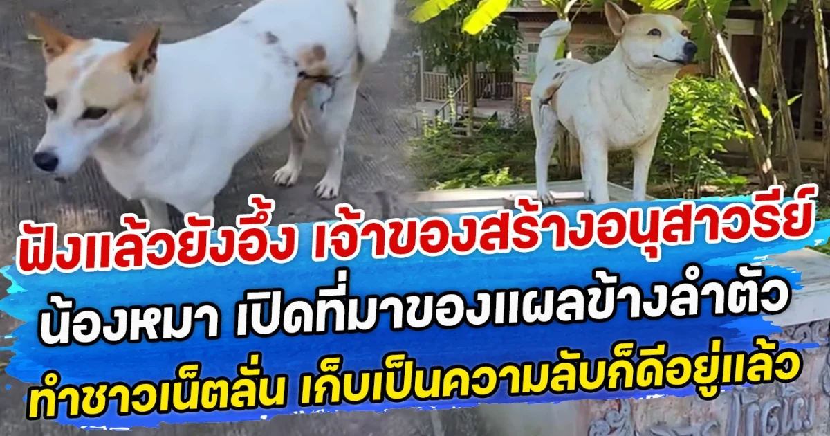 ฟังแล้วยังอึ้ง เจ้าของสร้างอนุสาวรีย์น้องหมา เปิดที่มาของแผลข้างลำตัว ทำชาวเน็ตลั่น เก็บเป็นความลับก็ดีอยู่แล้ว