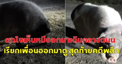 ชาวบ้านตกใจ บอกเห็นหมีออกมาเดินในหมู่บ้านกลางดึก รีบไปตามเพื่อนมาดู