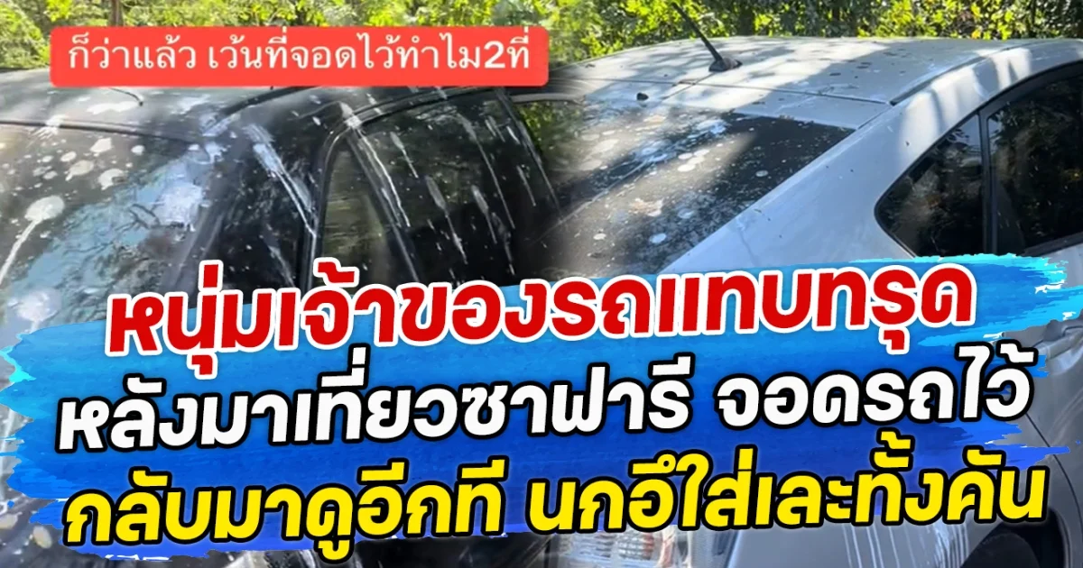 หนุ่มเจ้าของรถแทบทรุด หลังมาเที่ยวซาฟารี จอดรถไว้ กลับมาดูอีกที นกอึใส่เละทั้งคัน