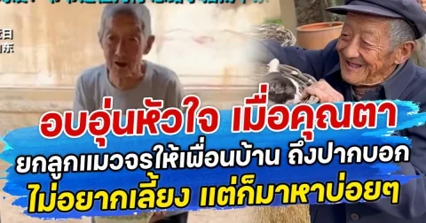 อบอุ่นหัวใจ เมื่อคุณตายกลูกแมวจรให้เพื่อนบ้าน ถึงปากบอกไม่อยากเลี้ยง แต่ก็มาหาบ่อยๆ