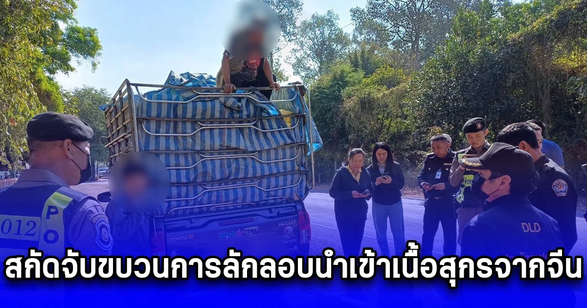 สกัดจับขบวนการลักลอบนำเข้าเนื้อสุกรจากจีน ล็อตใหญ่กว่า 15,000 กก. ก่อนกระจายสู่ผู้บริโภค