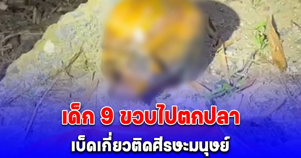 เด็กชายวัย 9 ขวบ ตกปลาเบ็ดเกี่ยวติดศีรษะมนุษย์ขึ้นจากน้ำ