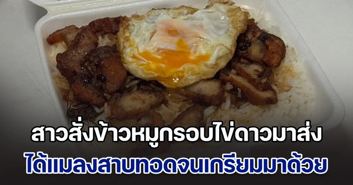 สาวสั่งข้าวหมูกรอบไข่ดาวมาส่ง เนื้อทอดจนเกรียมน่าทาน แต่พอเพ่งมองอีกที ชวนอี๋สุด ๆ กลมกลืนมาก ร้านพลาดหนัก