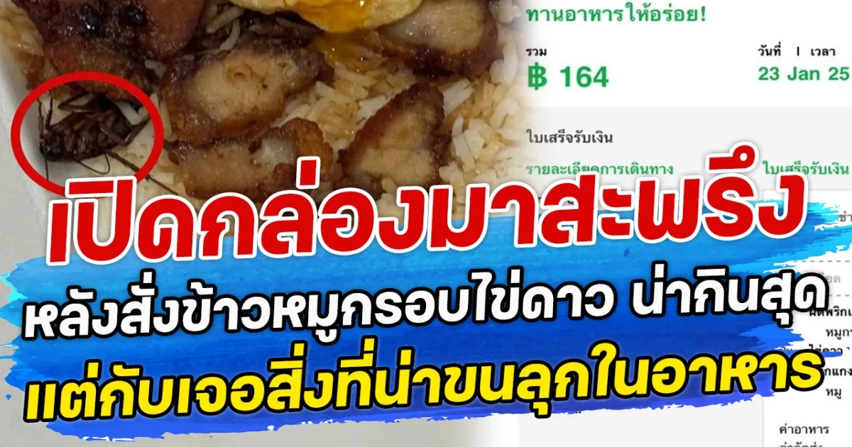 เปิดกล่องมาสะพรึง หลังสั่งข้าวหมูกรอบไข่ดาว น่ากินสุด แต่กับเจอสิ่งที่น่าขนลุกในอาหาร