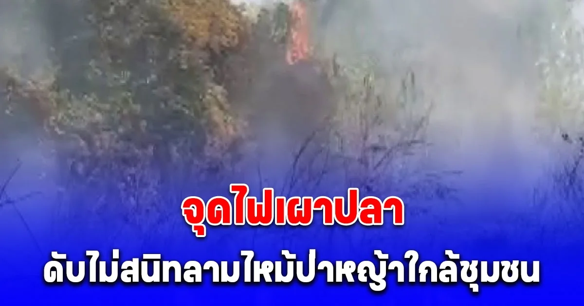 ชาวบ้านจุดไฟเผาปลา ดับไม่สนิทลามไหม้ป่าหญ้าใกล้ชุมชน
