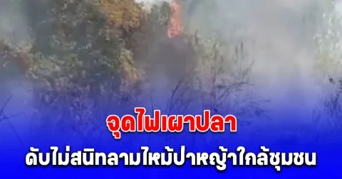 ชาวบ้านจุดไฟเผาปลา ดับไม่สนิทลามไหม้ป่าหญ้าใกล้ชุมชน