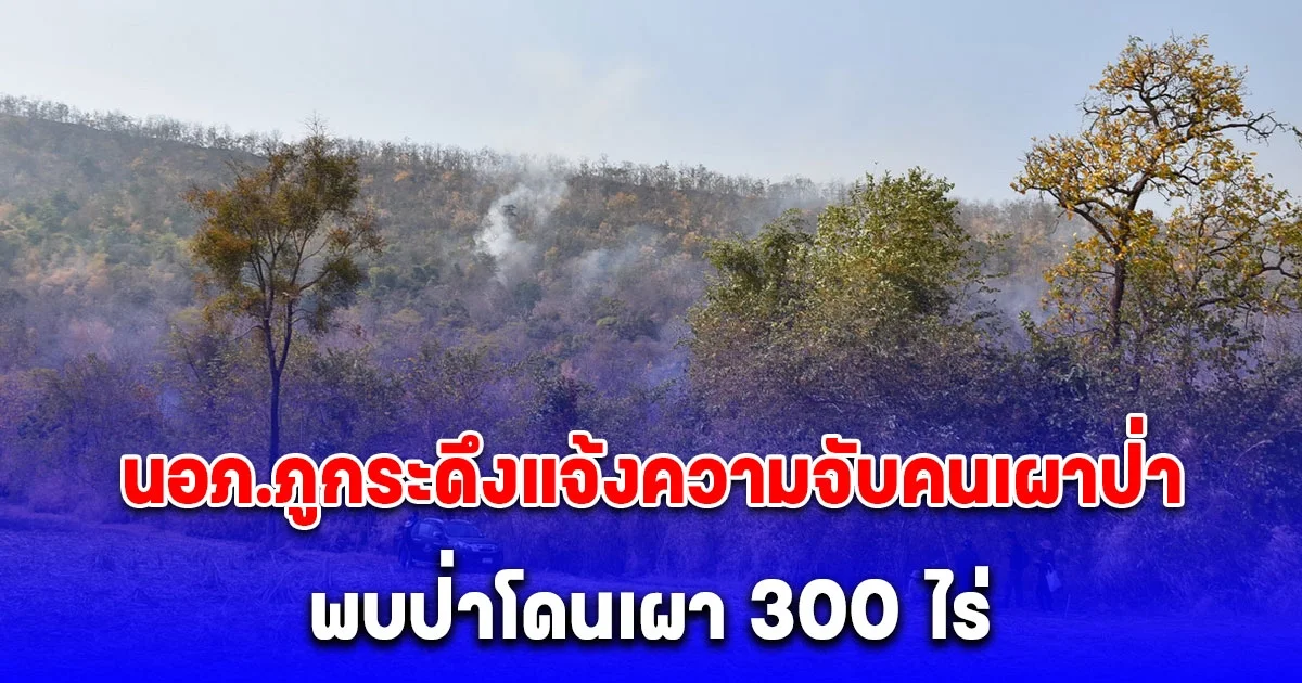 นอภ.ภูกระดึงแจ้งความจับคนเผาป่าภูค้อภูกระแต พบป่าโดนเผา 300 ไร่